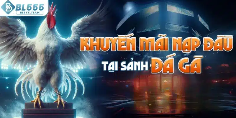 Chương trình ưu đãi gửi vốn tại sảnh đá gà nhận ngay 58K